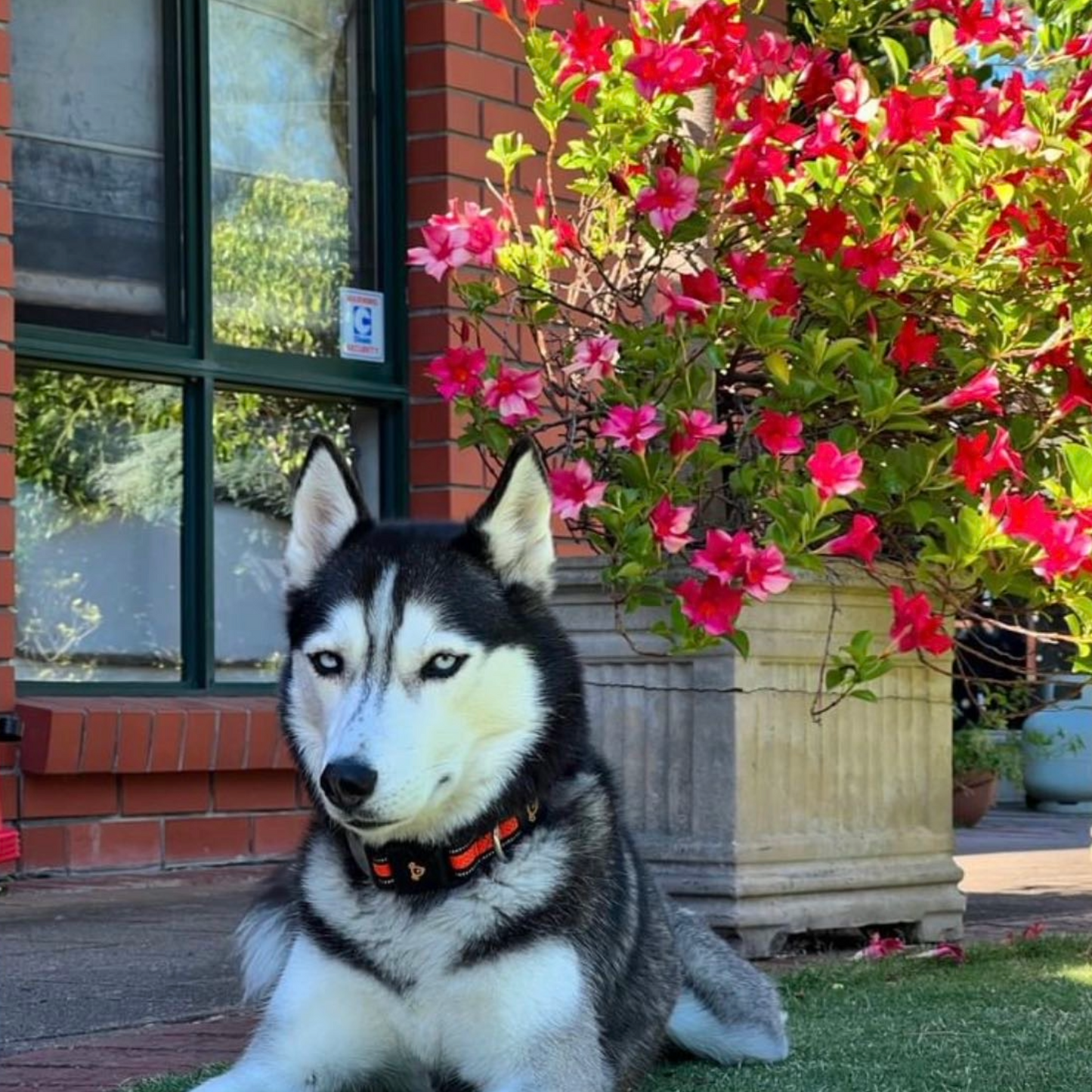 Oversize Organic Cotton T-Shirt
