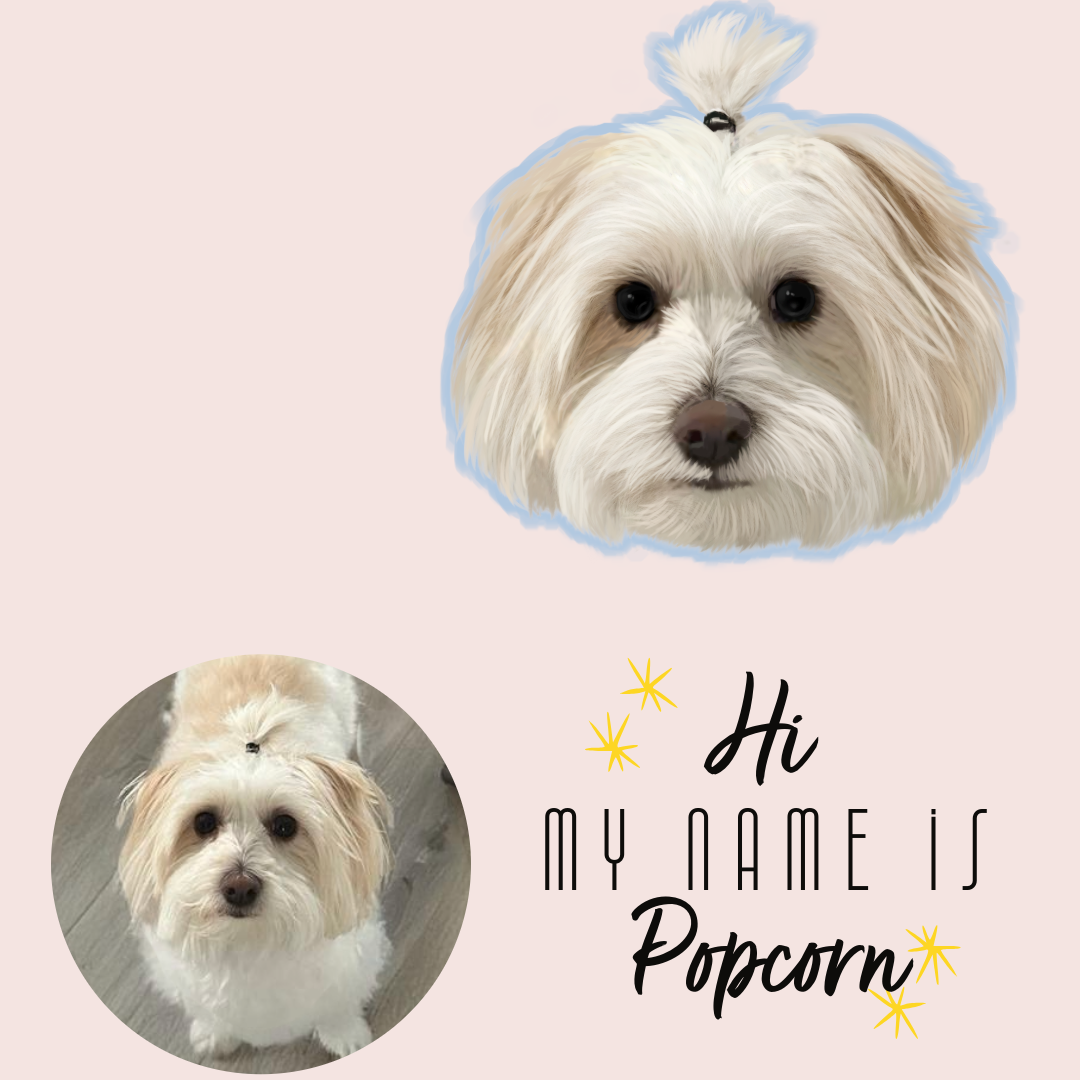 pet wall paper