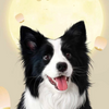 custom pet portrait